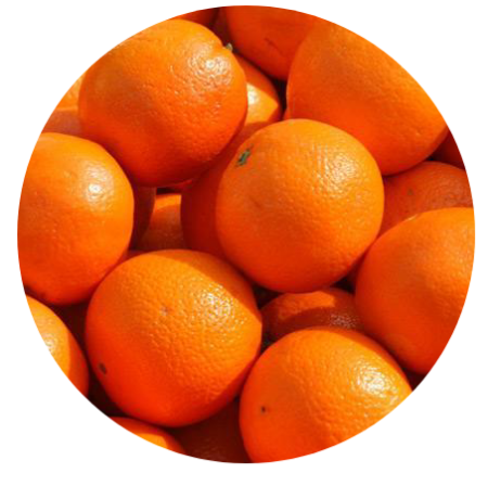 Image de la catégorie Oranges