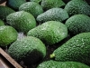 avocado in cassetta