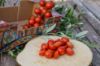 Immagine di Cassetta Personalizzabile Ortaggi e Frutta di Sicilia