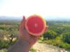 Immagine di 4kg Pompelmo Rosa