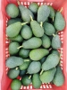 Picture of Avocado HASS coltivato in Sicilia 4kg