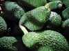 Picture of Avocado HASS coltivato in Sicilia 4kg