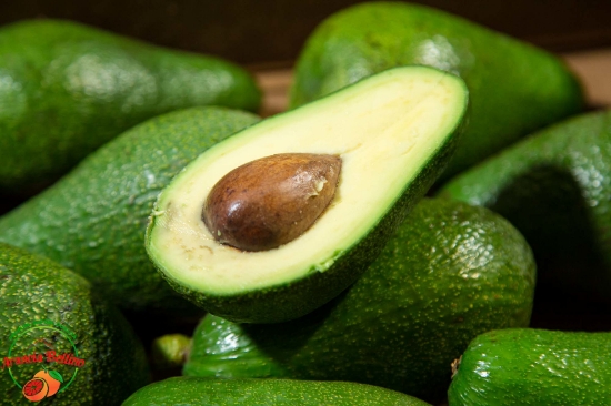 Image de Avocado Bacon coltivato in Sicilia -  4 pezzi