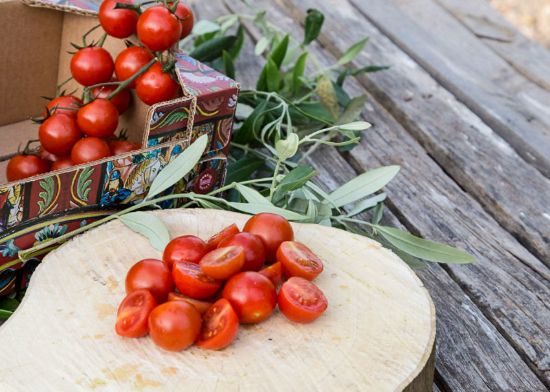 Picture of 900g pomodoro Ciliegino in vaschetta