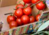 Immagine di 900g pomodoro Ciliegino in vaschetta