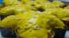 Picture of Colomba artigianale all'Arancia 1kg