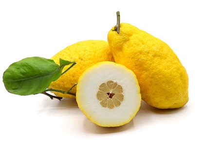 Picture of Cedro 7kg
