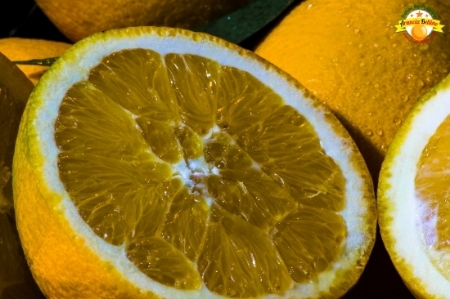 Image de la catégorie Oranges siciliennes "Lane Late" 🔴